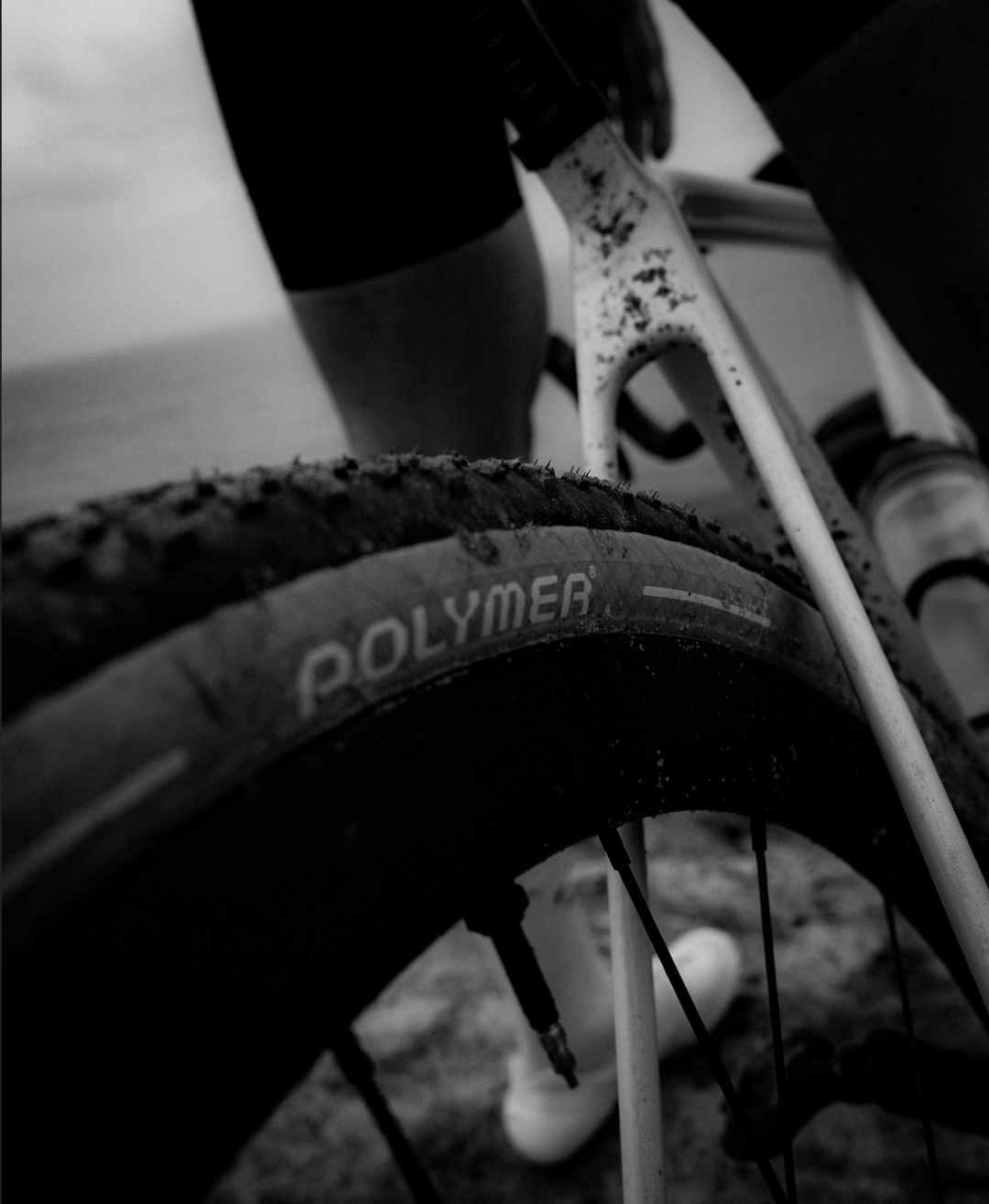 Polymer Workshop X Panaracer Gravelking X1 R