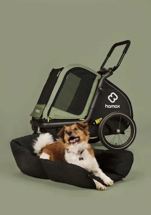 Hamax Pluto M Fahrradanhänger für Hunde
