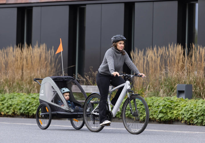 Hamax Traveller Fahrradanhänger für Kinder (2-Sitzer)