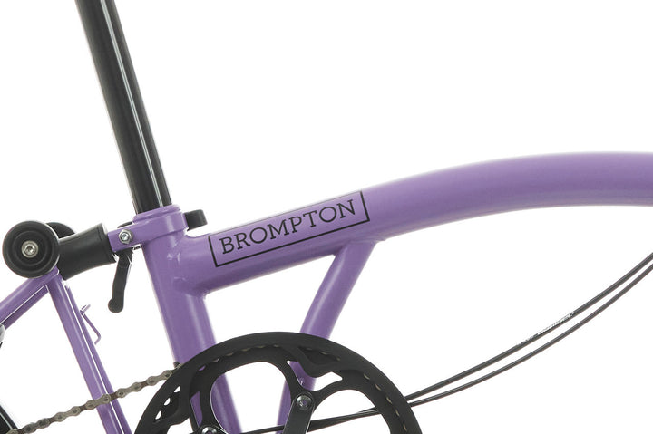 C-Line Pop Lilac Limited Edition Gepäckträger Modell 2024