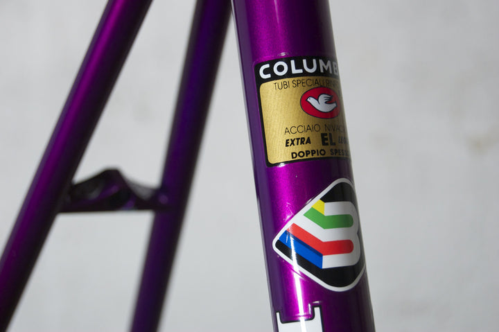 Basso Astra violet-pink frames