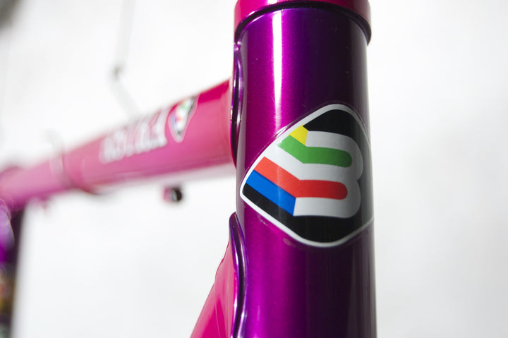 Basso Astra violet-pink frames