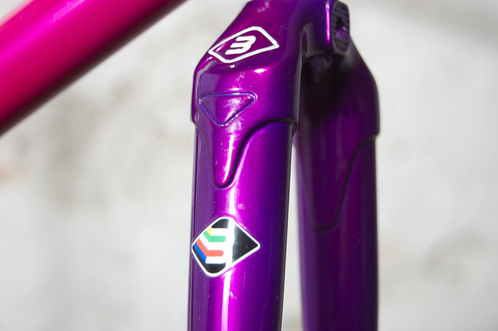 Basso Astra violet-pink frames