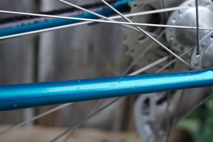 Basso Lady