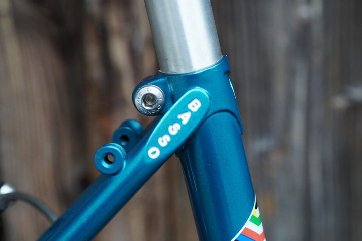 Basso Lady