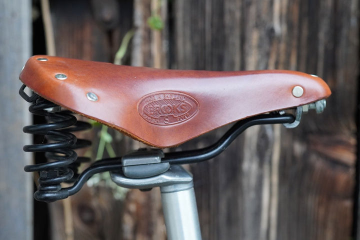 Basso Lady