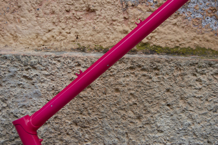 Basso Green-Pink Frame