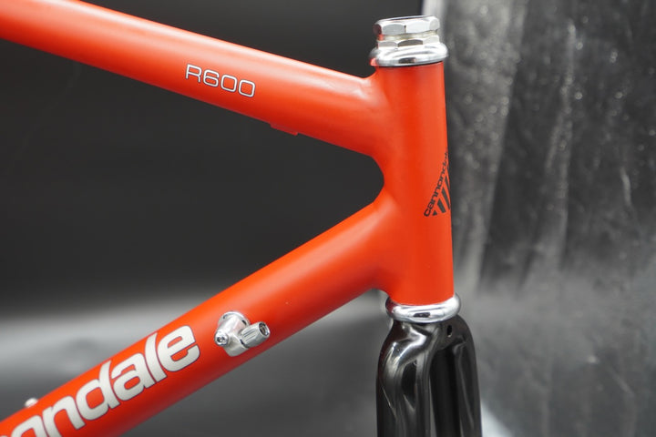 Cannondale R600 frame set