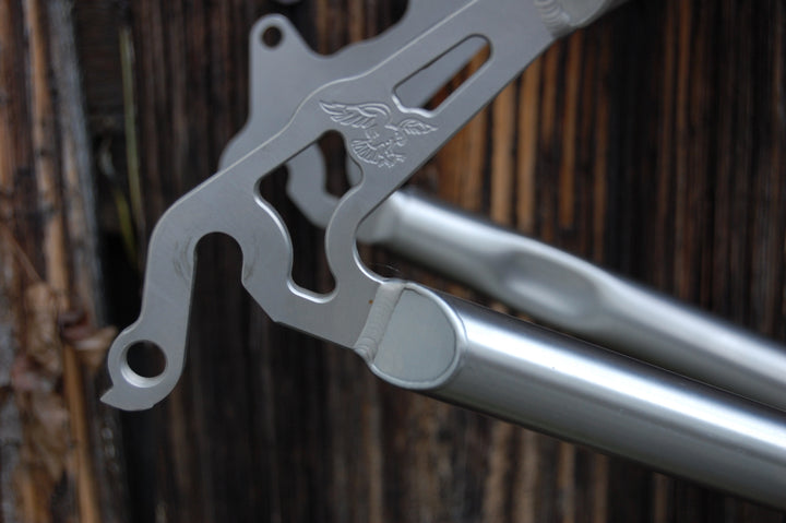 XLM titanium MTB frame