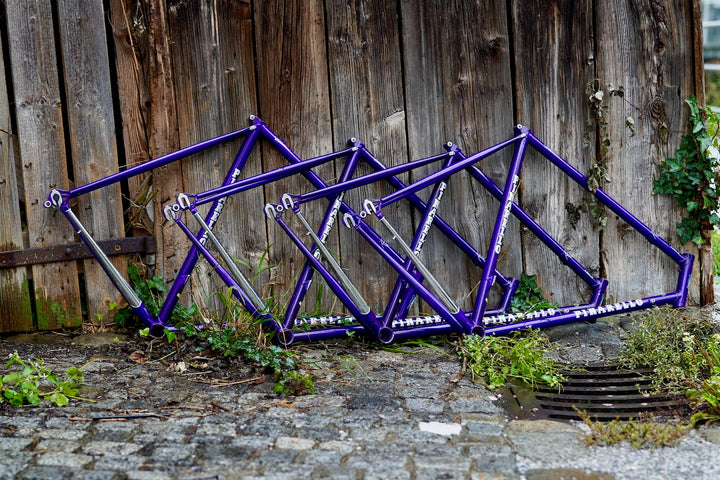 Asolo frames dark purple