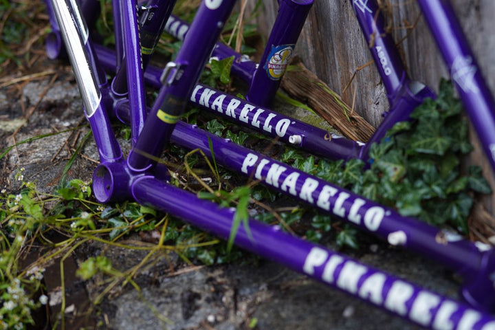 Asolo frames dark purple