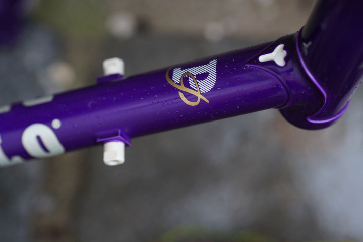 Asolo frames dark purple