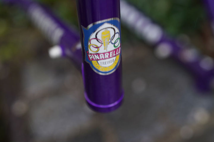 Asolo frames dark purple