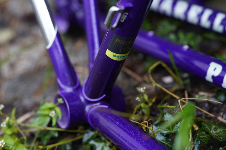 Asolo frames dark purple
