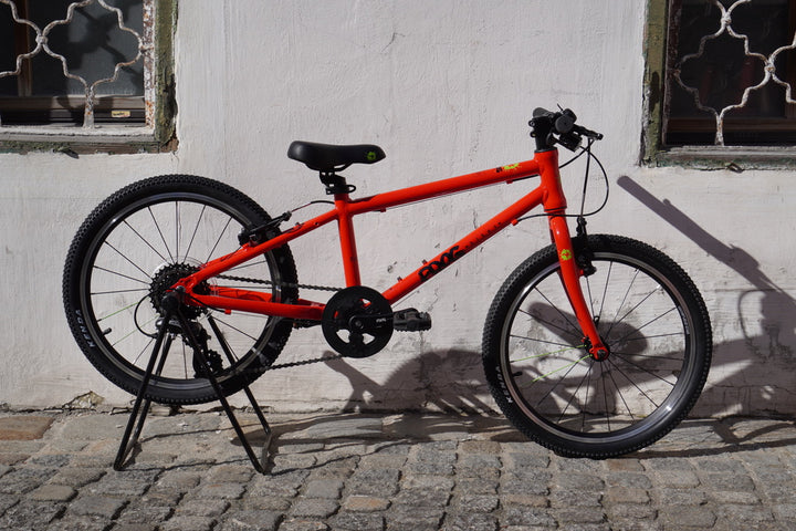 Children's bike 20" Frog