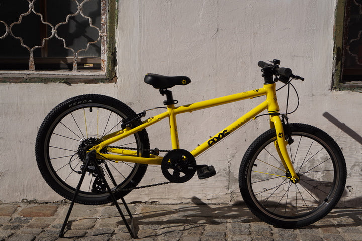 Children's bike 20" Frog