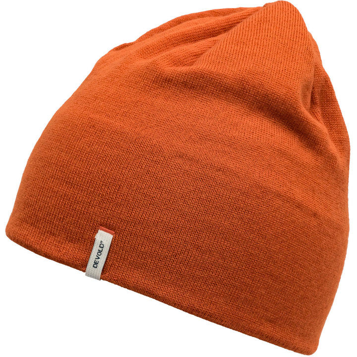 Friends Beanie