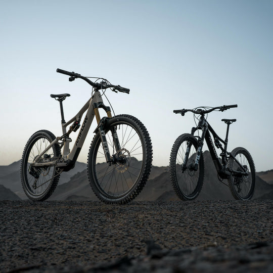 Amflow PX Carbon & PX Carbon Pro | E-MTB auf dem nächsten Level
