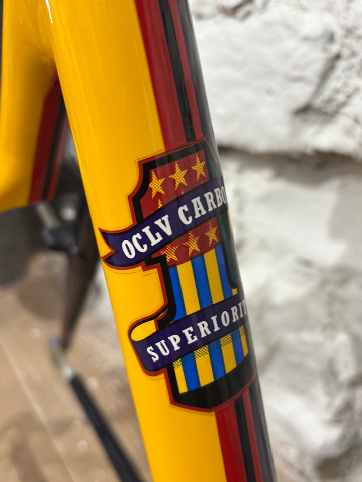 Trek OCLV 9900 Carbon Team Rahmenset