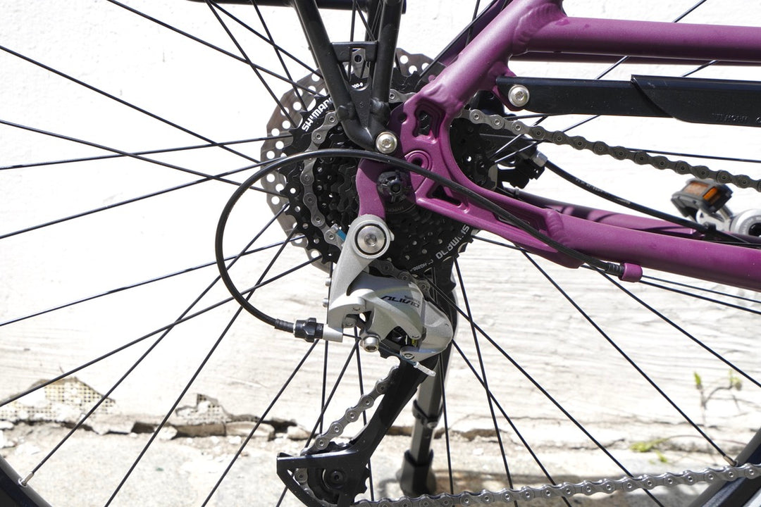 Gudereit SX55 Evo Trekkingfahrrad