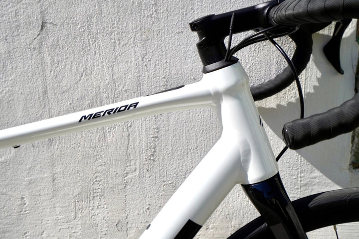 Merida eSCULTURA 400 | MAHLE X30