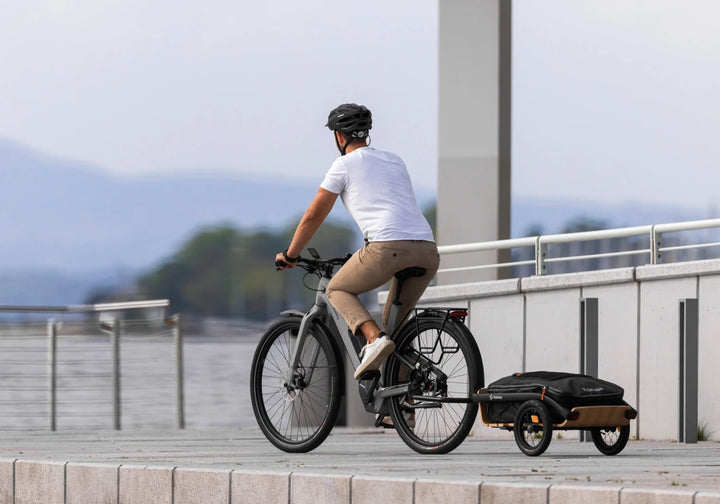 Hamax Venture | Venture Holz | Fahrradanhänger, Lastenanhänger