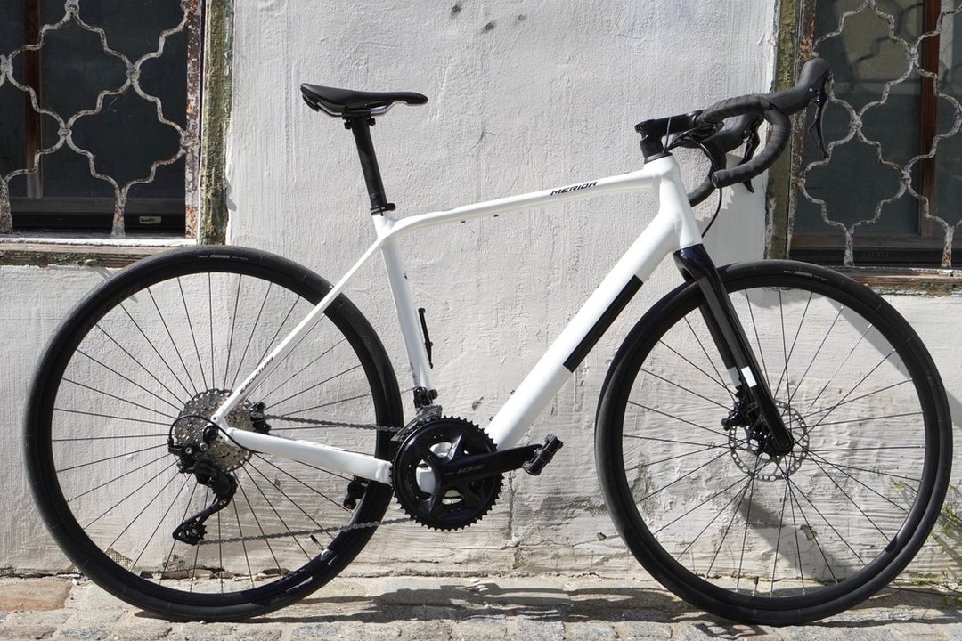 Merida eSCULTURA 400 MAHLE X30 – Grundtner1