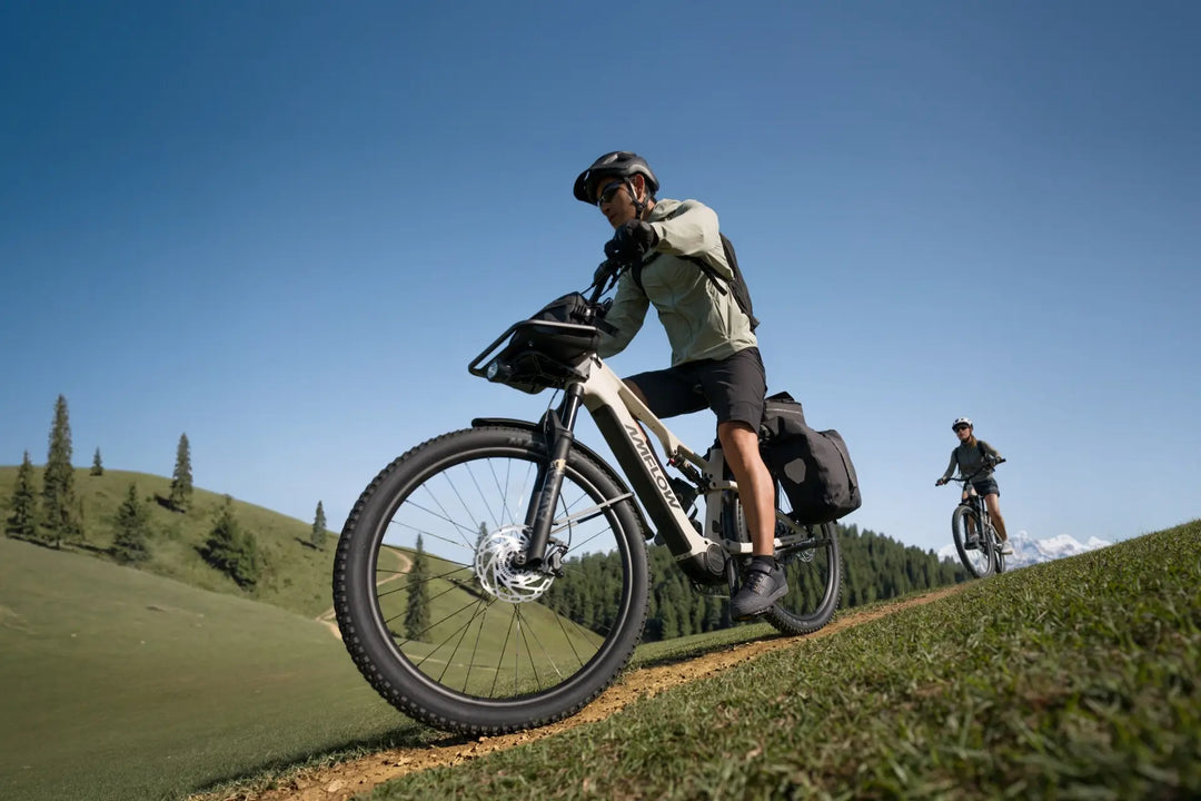 Amflow TL Carbon | 125Nm Avinox M2 E-MTB