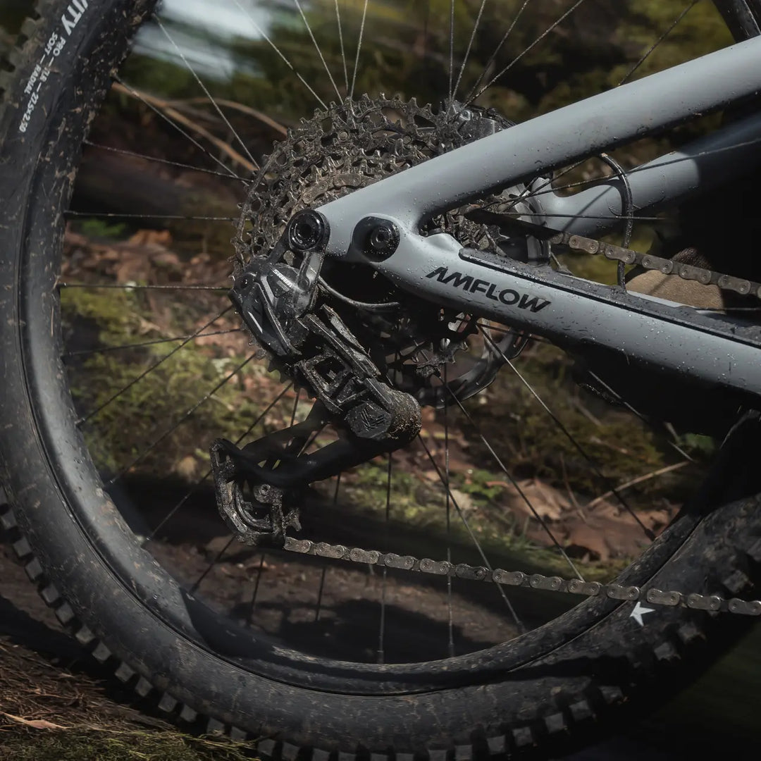 Amflow PR Carbon Pro | 150Nm Avinox M2S E-MTB Carbon