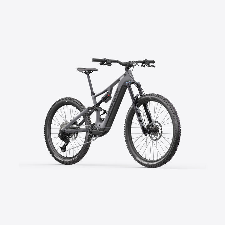 Amflow PR Carbon Pro | 150Nm Avinox M2S E-MTB Carbon