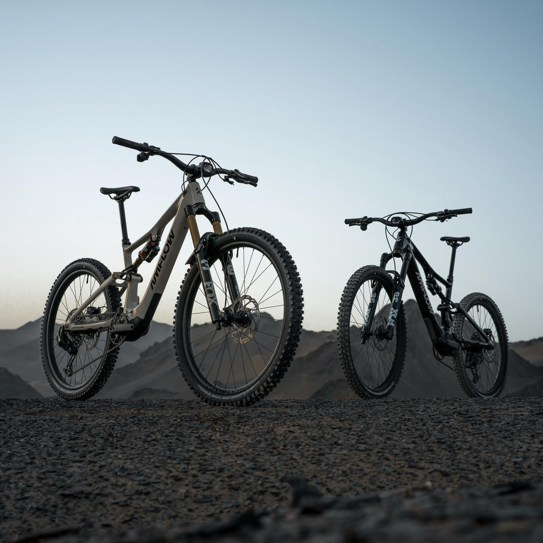 Amflow PX Carbon Pro | 150Nm Avinox M2S E-MTB Carbon