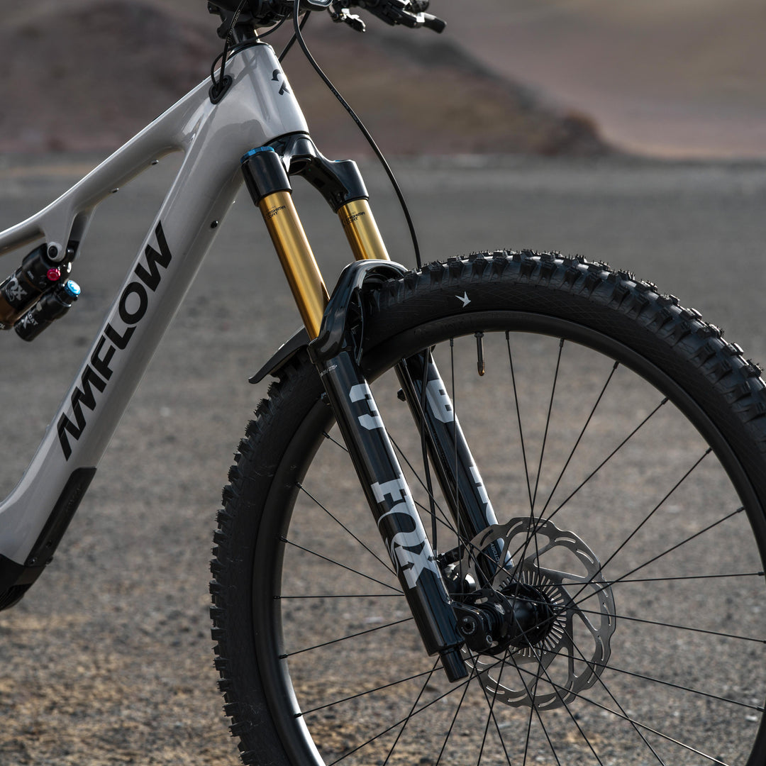 Amflow PX Carbon Pro | 150Nm Avinox M2S E-MTB Carbon