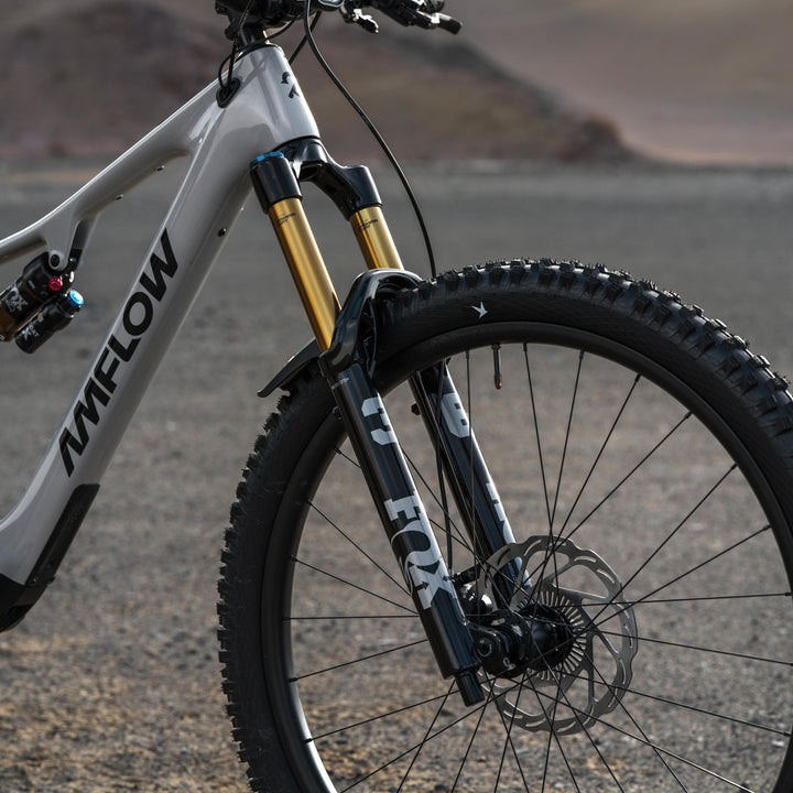 Amflow PX Carbon Pro | 150Nm Avinox M2S E-MTB Carbon