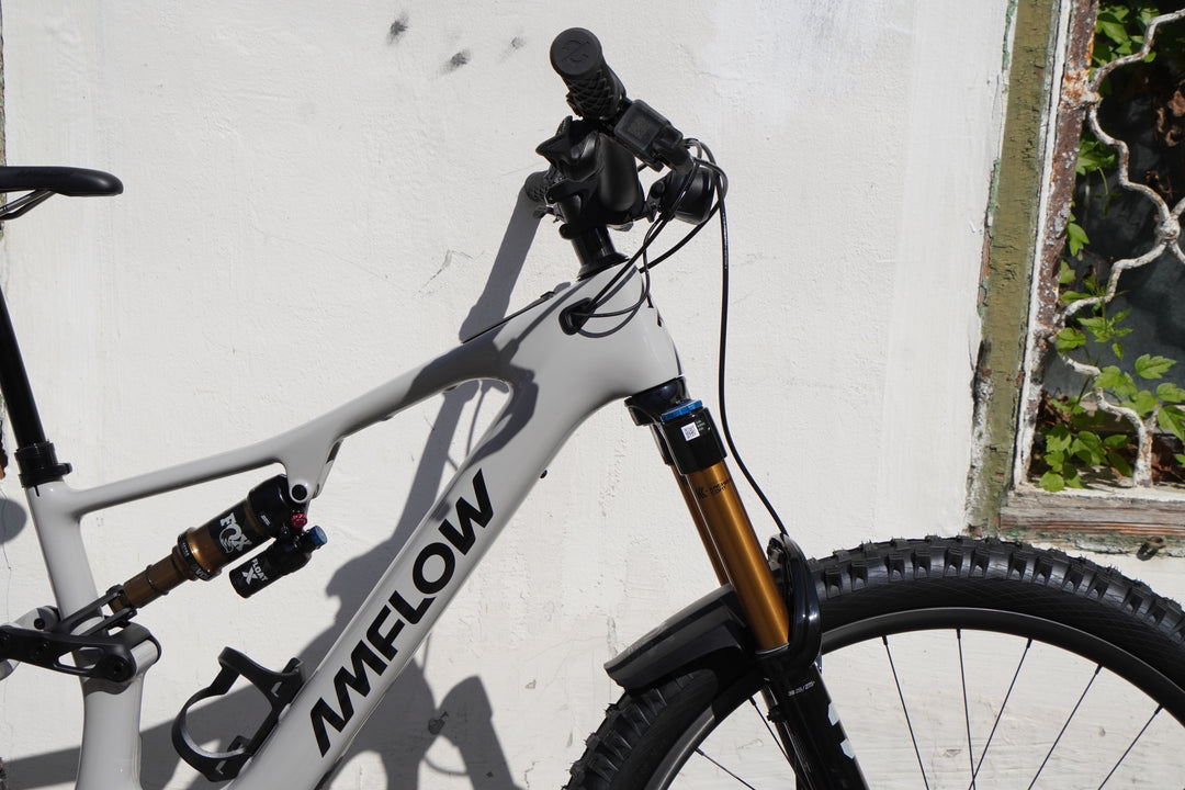 Amflow PX Carbon Pro | 150Nm Avinox M2S E-MTB Carbon