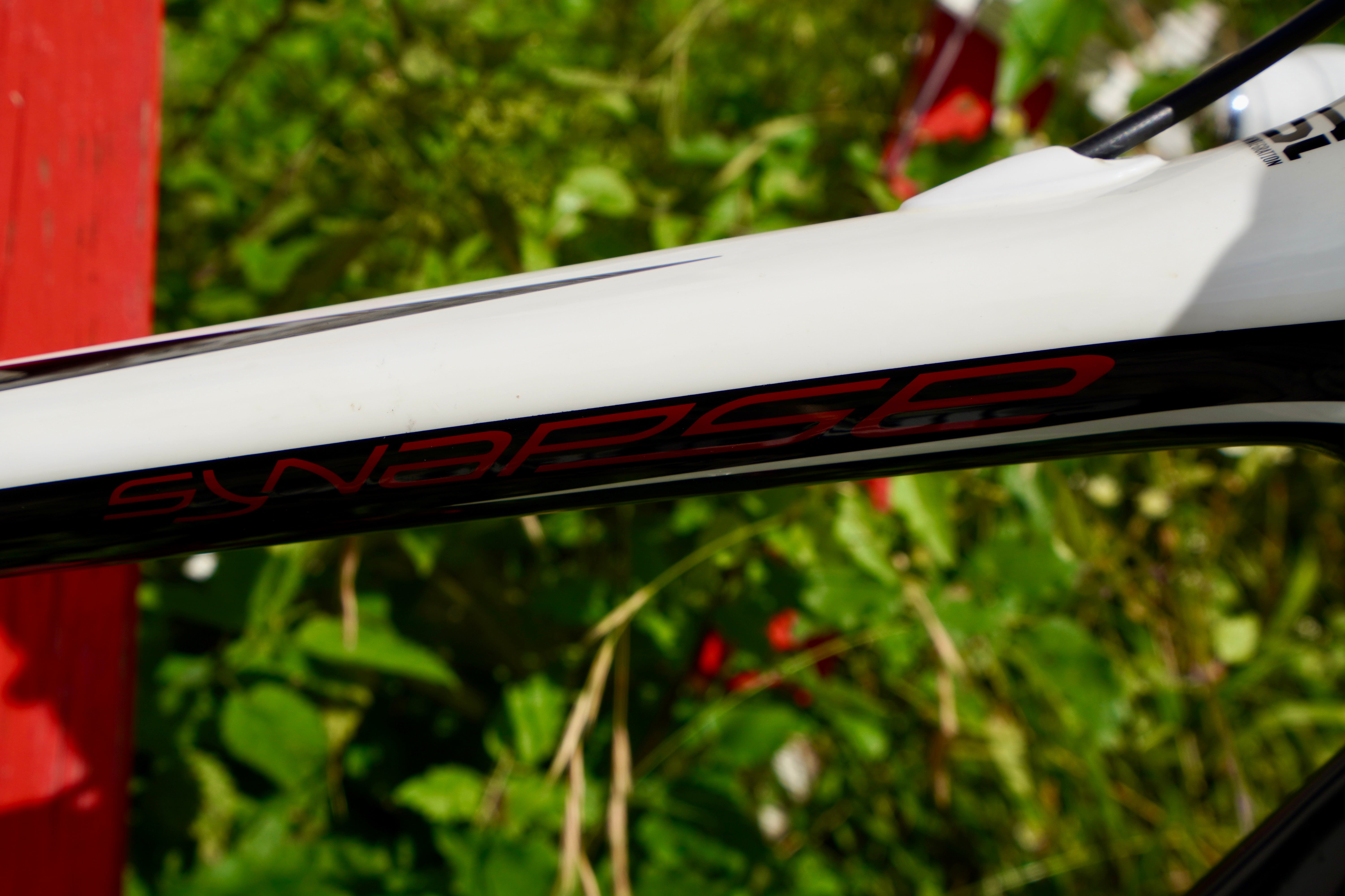 Synapse 2024 carbon frameset