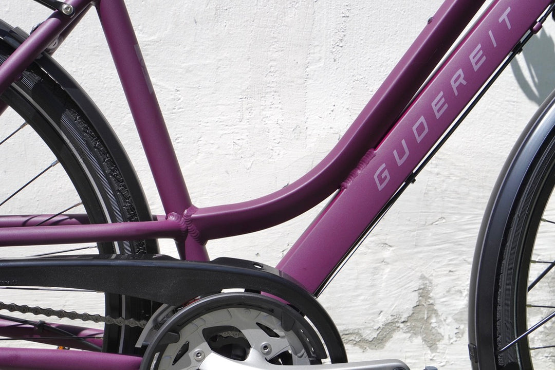 Gudereit SX55 Evo Trekkingfahrrad