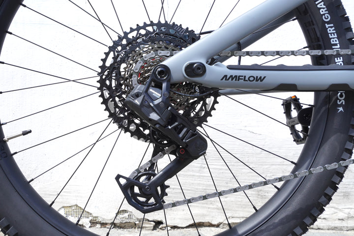 Amflow PR Carbon Pro | 150Nm Avinox M2S E-MTB Carbon