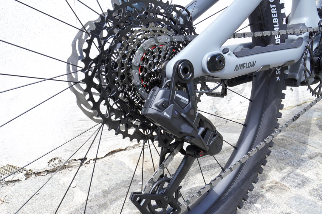 Amflow PR Carbon Pro | 150Nm Avinox M2S E-MTB Carbon
