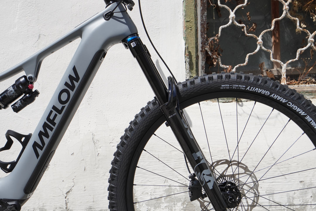 Amflow PR Carbon Pro | 150Nm Avinox M2S E-MTB Carbon