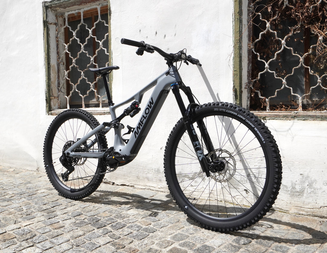 Amflow PR Carbon Pro | 150Nm Avinox M2S E-MTB Carbon