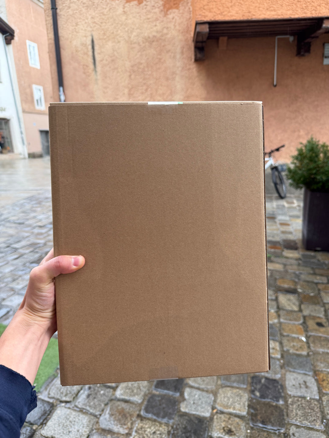 Amflow TL Front Rack – Frontgepäckträger für Amflow TL