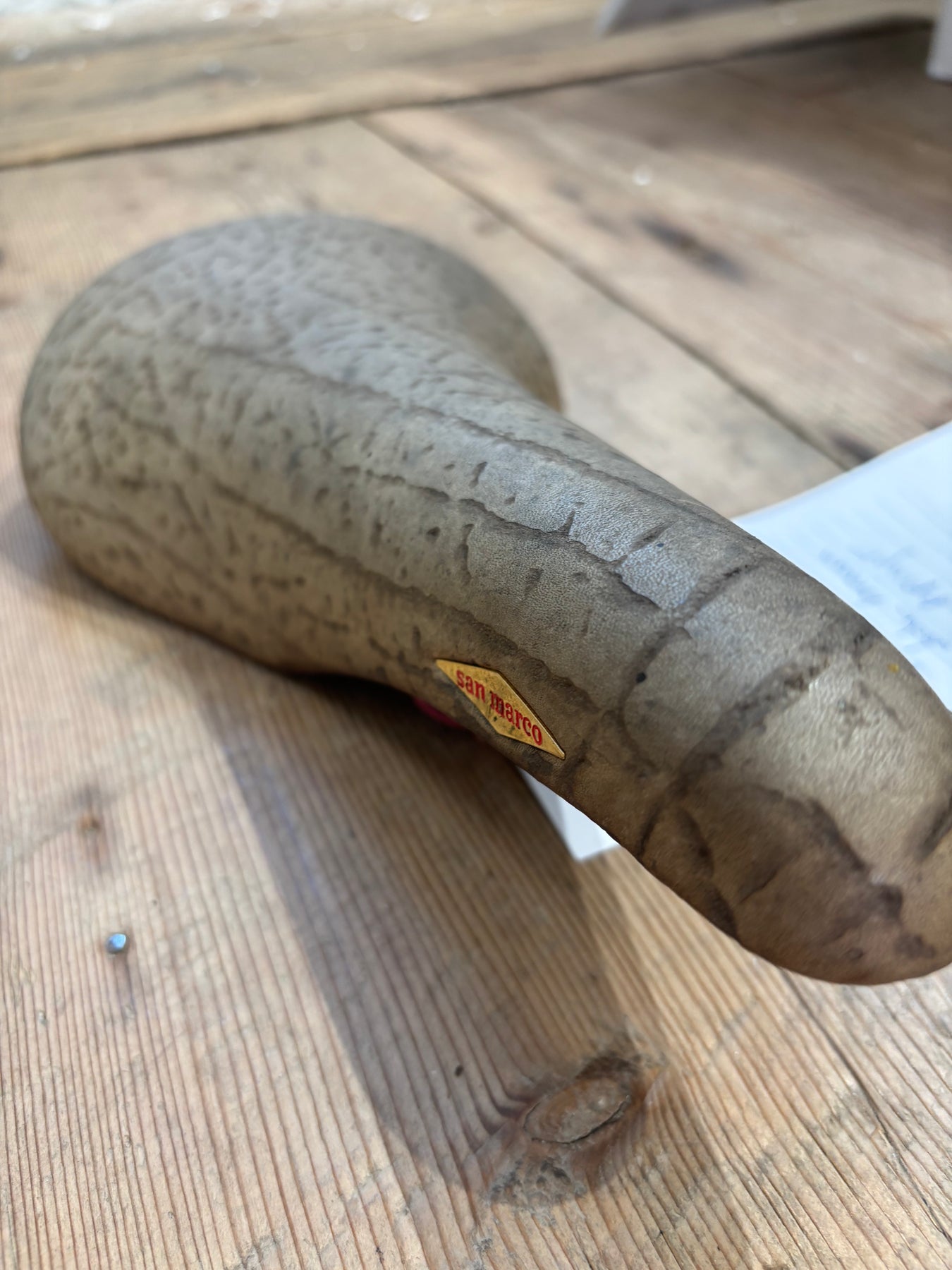 Ein Klassiker: Rolls Rino Sattel von Selle San Marco – Grundtner