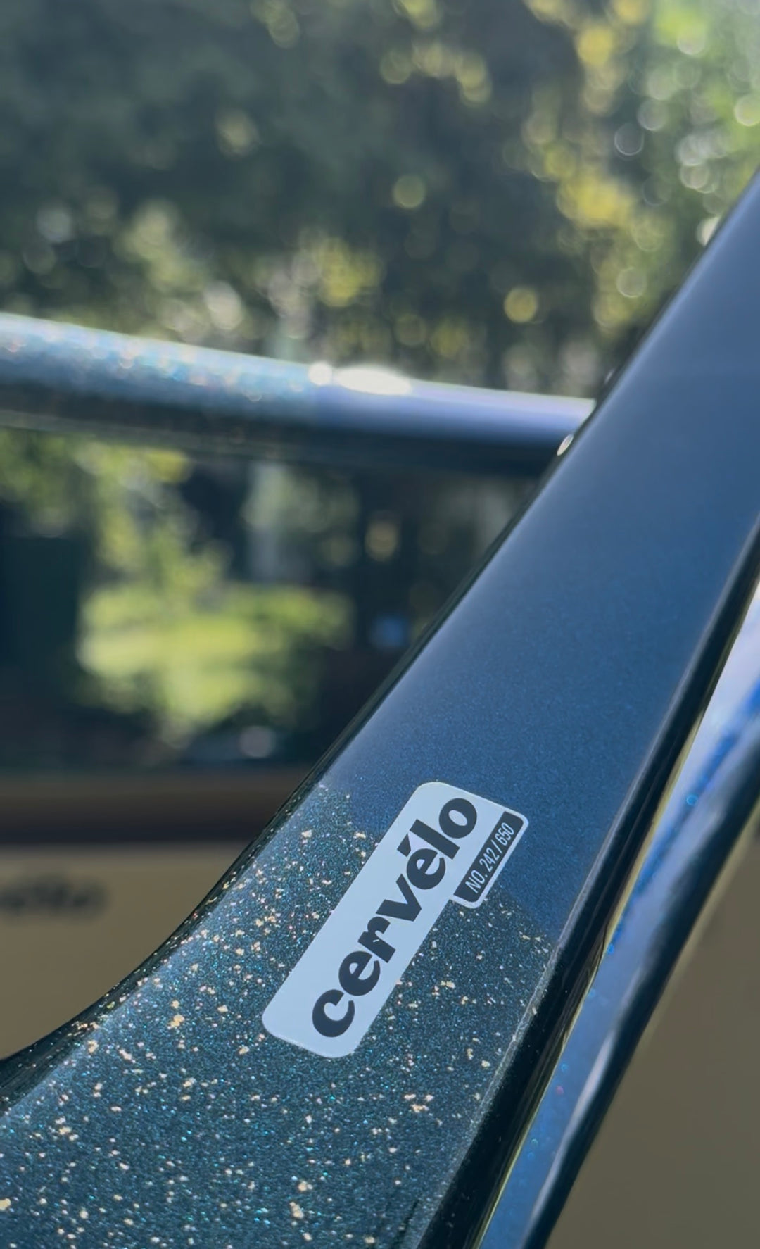 Cervélo S5 MAP Frameset | Limited Edition