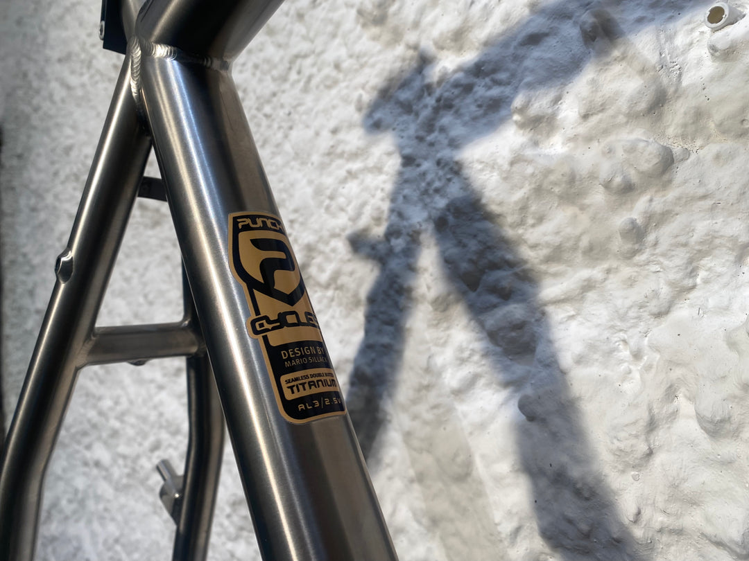 titan fahrradrahmen kaufen Punch Catcher Titan Mtb-frame – Grundtner