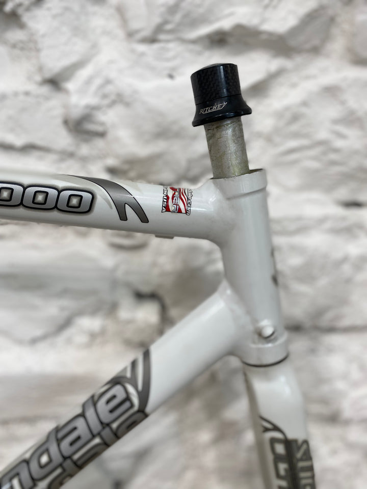 Optimo R1000 frameset CAAD 7