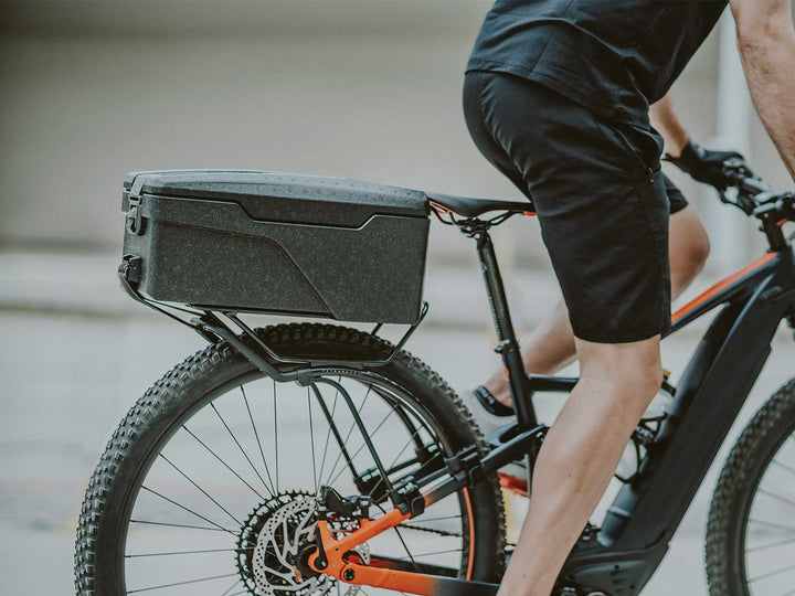 Topeak E-Xplorer TrunkBox