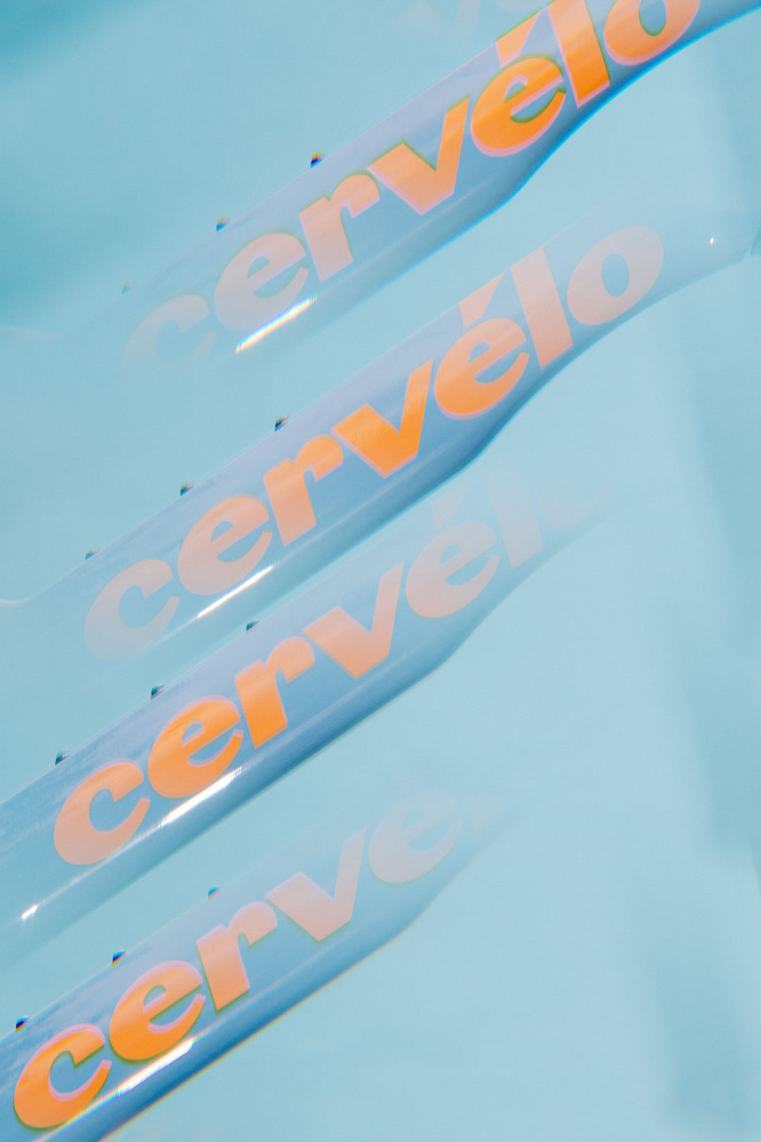 Cervelo S5 Lupine Frameset | 2026 limited edition