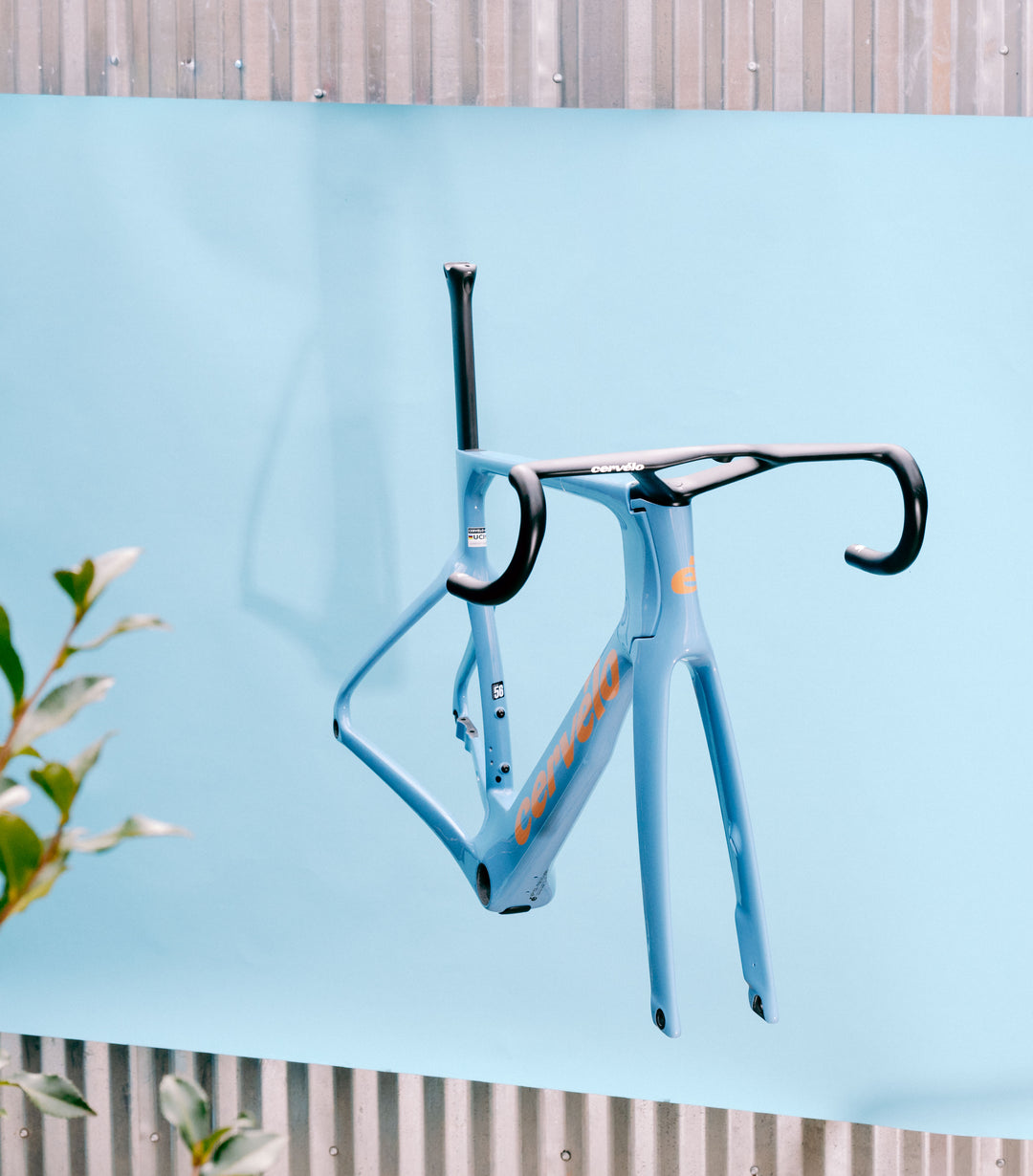 Cervelo S5 Lupine Frameset | 2026 limited edition