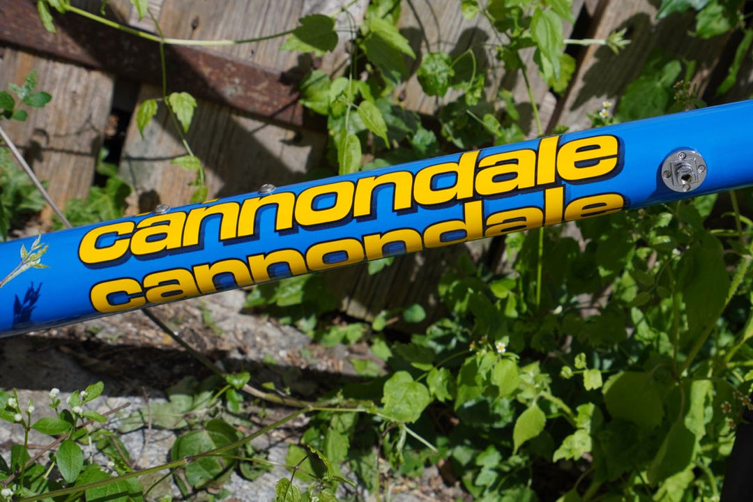 New Cannondale CAAD3 frameset