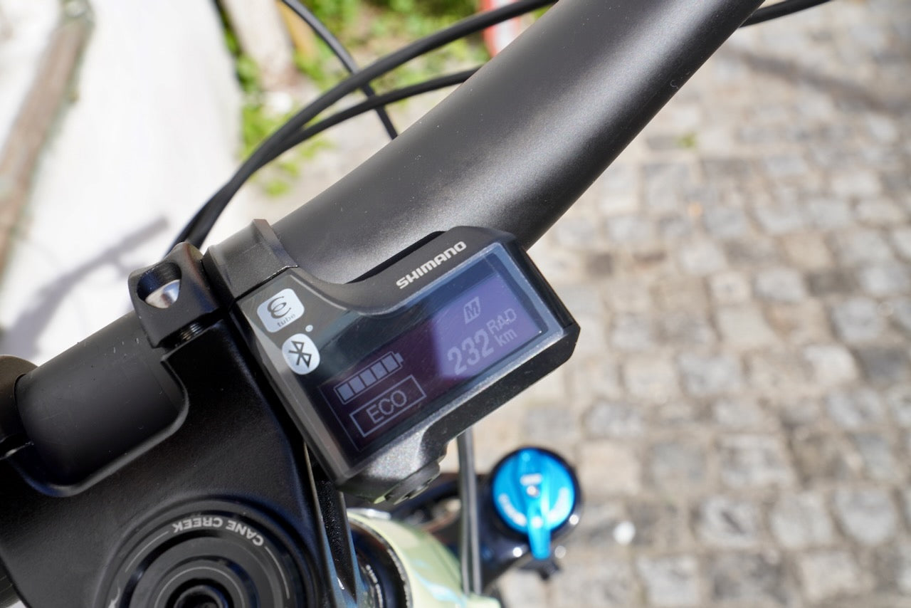 Santa Cruz Heckler 9 – Grundtner